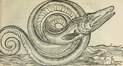 serpent2